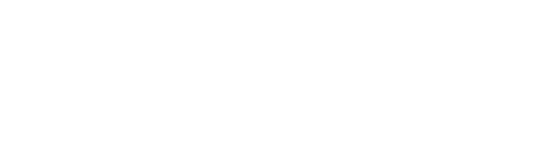 logo_banca-carige_bianco